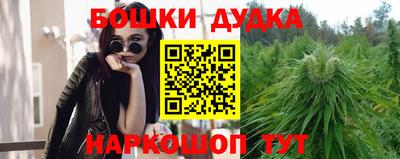 индика Волжск