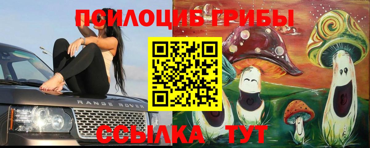 как найти наркотики  Псилоцибиновые грибы MAGIC MUSHROOMS  Псилоцибиновые грибы ЛСД  Вход с VPN  Сальск 