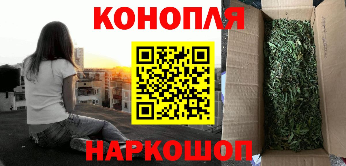 Бошки Шишки MAZAR Сальск